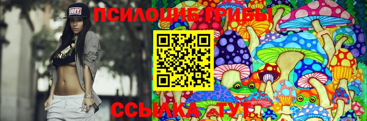 Псилоцибиновые грибы Psilocybine cubensis  Вход с VPN  Солнечногорск  Псилоцибиновые грибы Magic Shrooms 